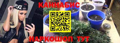гидропоника Партизанск